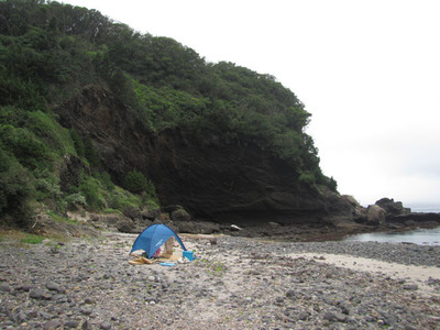 下田市 らっかせいブログ